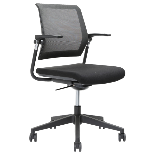 Lanza  Meeting and Training Chair